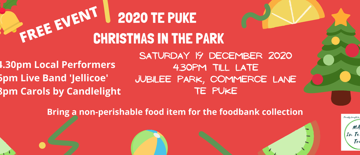 Te Puke Christmas in the Park