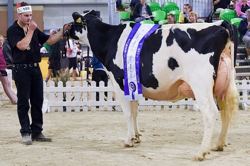 New Zealand Dairy Event