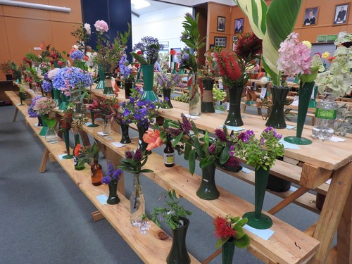 Rongotea Horticultural Society Autumn Show