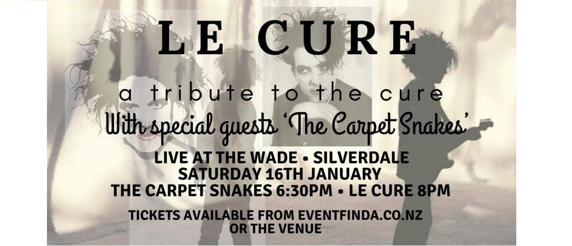 LeCure "The Cure" Tribute show