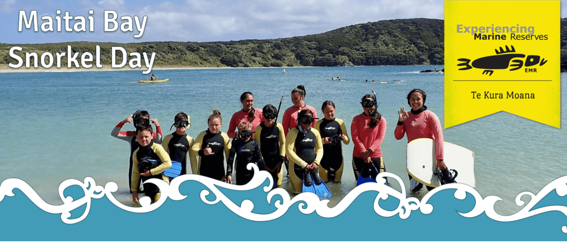 Maitai Bay Snorkel Day - Relocated 