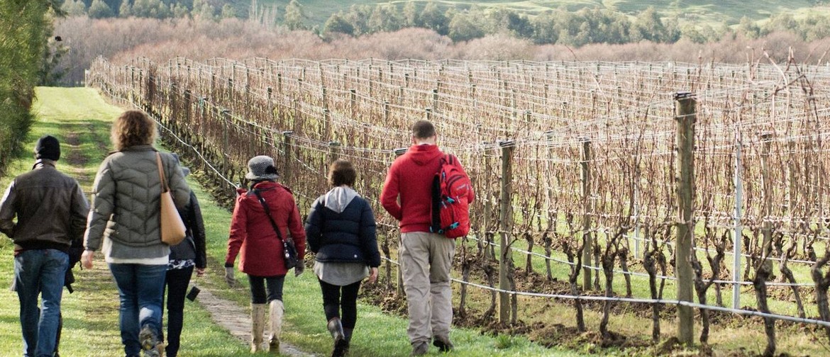 Martinborough Wine Walks