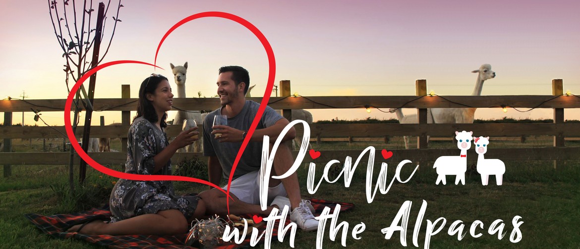 Picnic with the Alpacas - Sold Out