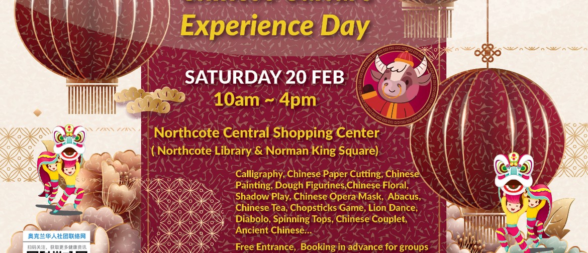 Chinese Cultural Experience Day