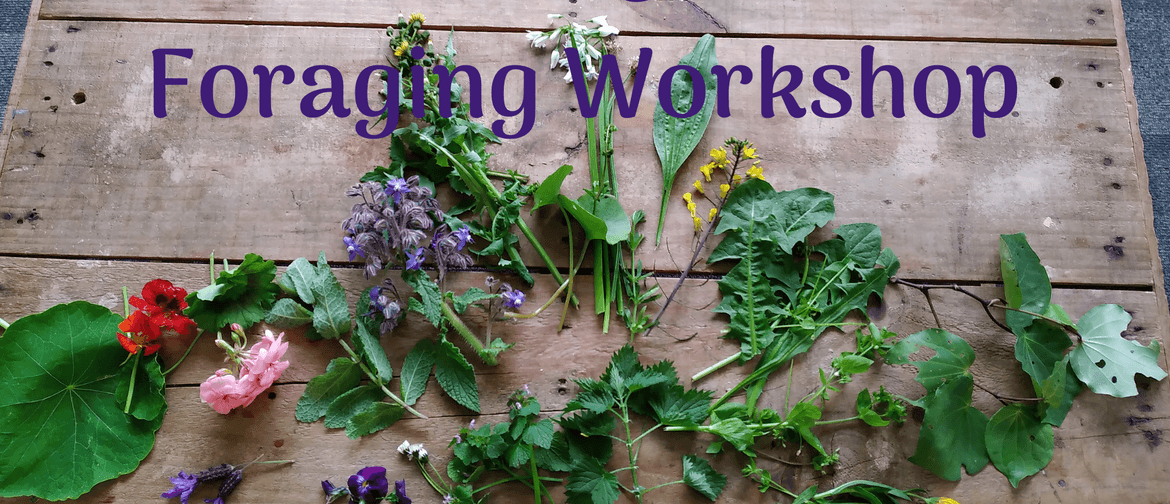 Foraging for Edible Weeds Workshop Wellington
