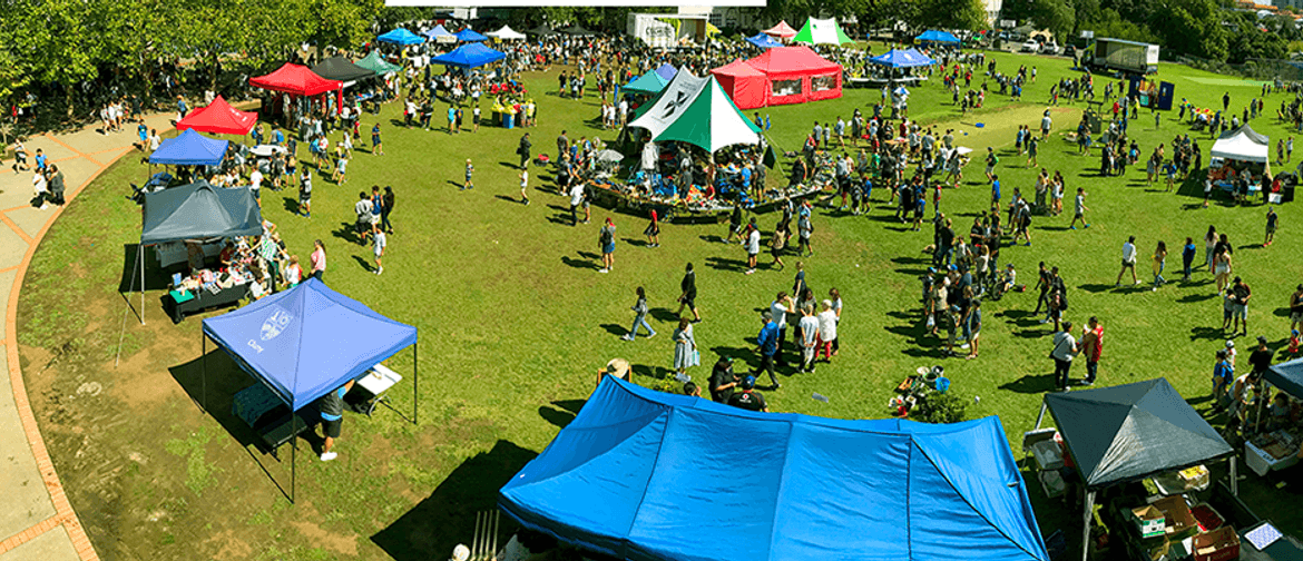 St Peters College Fair