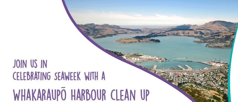 Seaweek Whakaraupō Harbour Clean Up