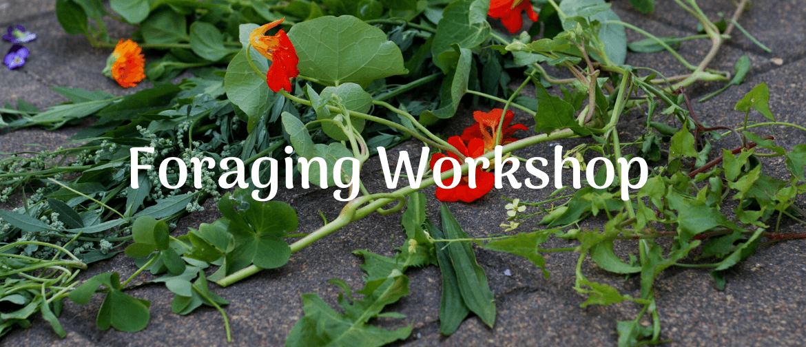 Foraging for Edible Weeds Workshop Kapiti