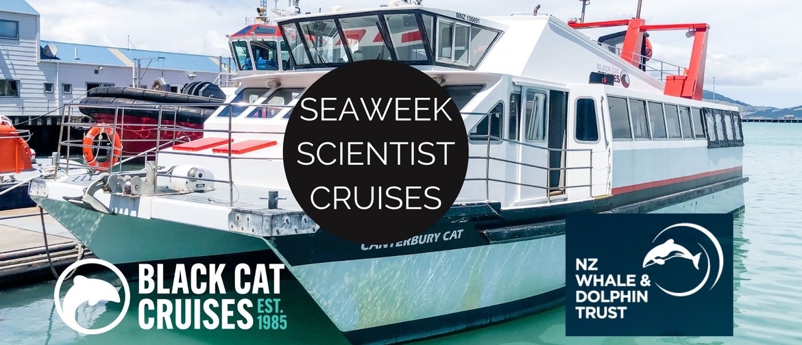 Seaweek Scientist Cruise with the NZ Whale and Dolphin Trust