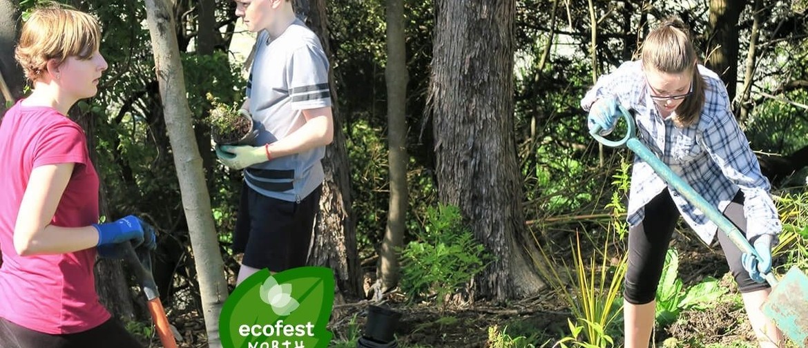 Waipapa Stream Restoration - EcoFest North