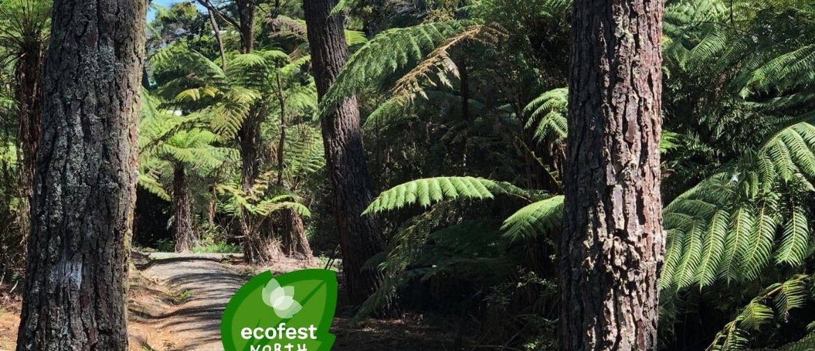 Lyford Reserve Working Bee - EcoFest North