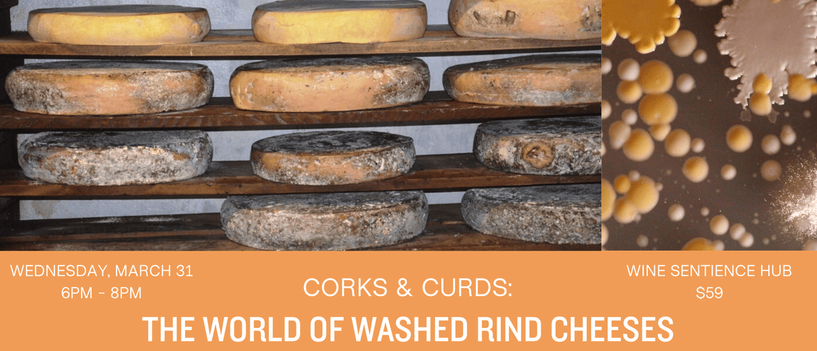 Corks & Curds: The World of Washed Rind Cheeses