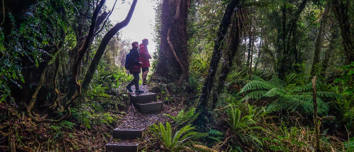 Wild Dunedin: Walk for Wildlife