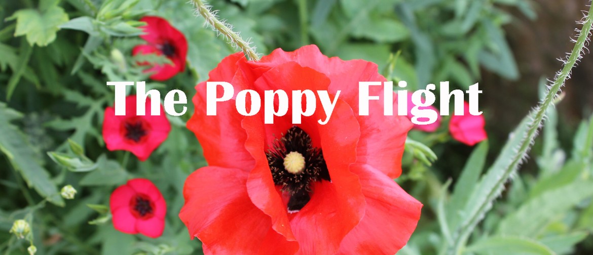 Poppy Flight Family Fun Event