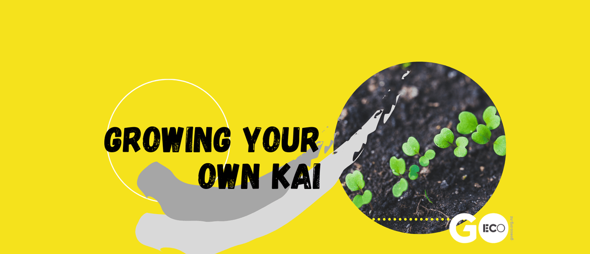 Growing Your Own Kai - No Dig Gardening