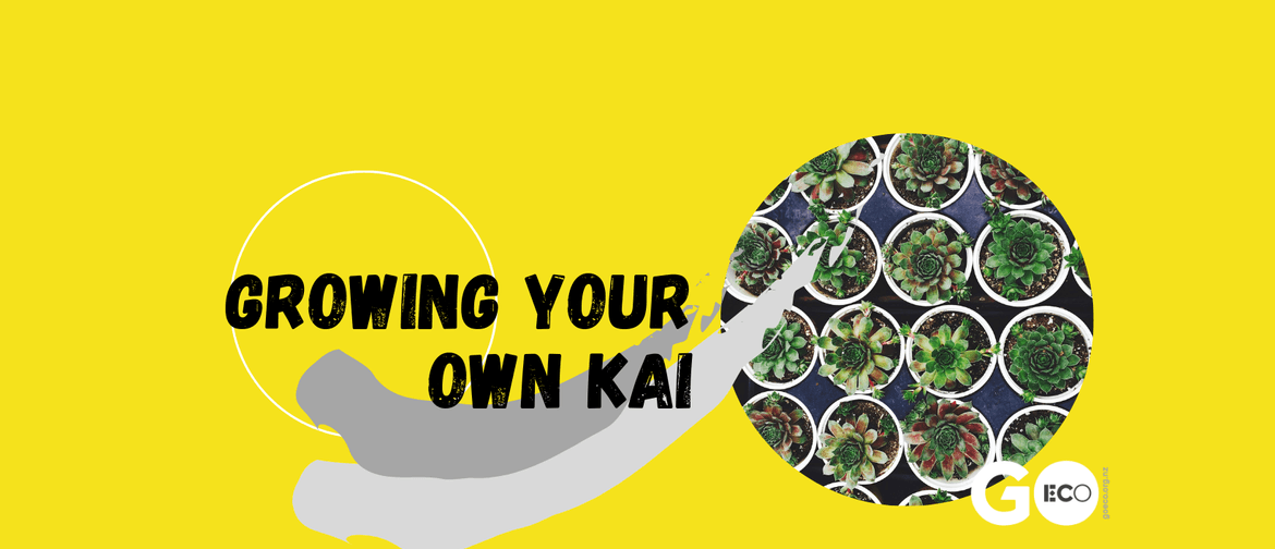 Growing Your Own Kai - Propagating