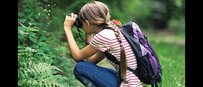 Festival of Colour - Through the Eye of the Lens