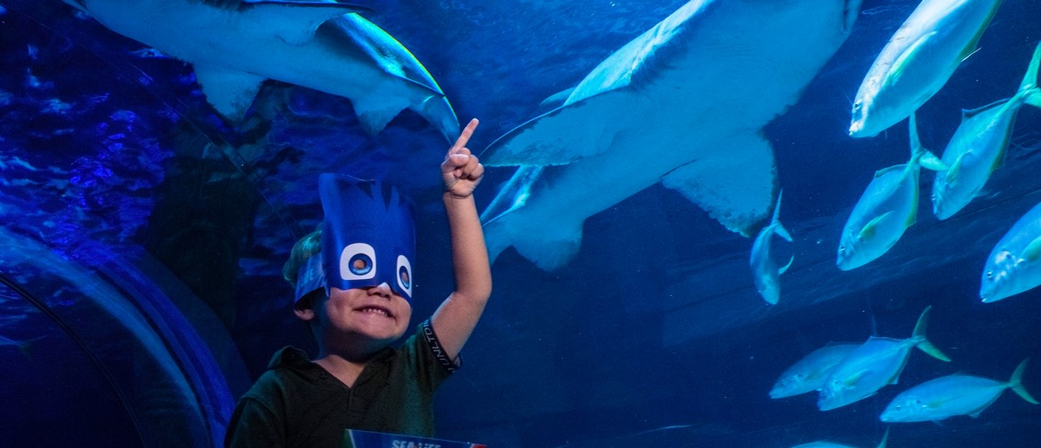 PJ Masks dives into SEA LIFE Kelly Tarlton’s Aquarium