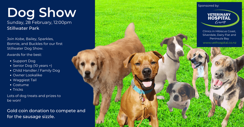 Stillwater clearance kennel supply