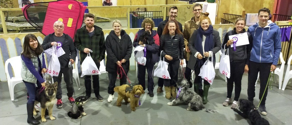 Mindfulness4dogs Puppy Preschool Course