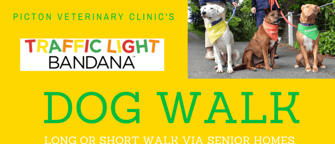 Traffic Light Bandana Dog Walk