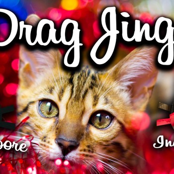 Drag Jingo: CANCELLED