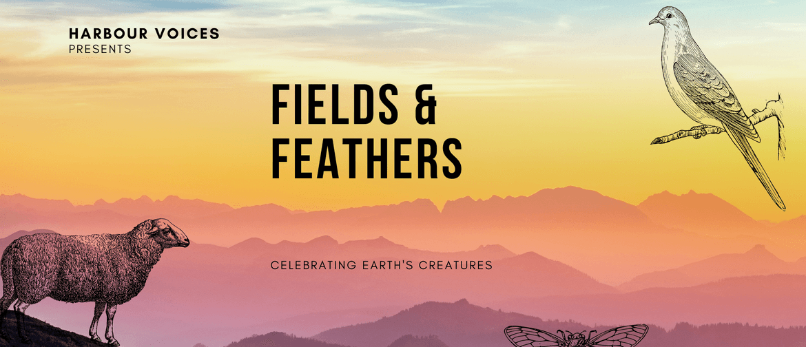 Fields & Feathers