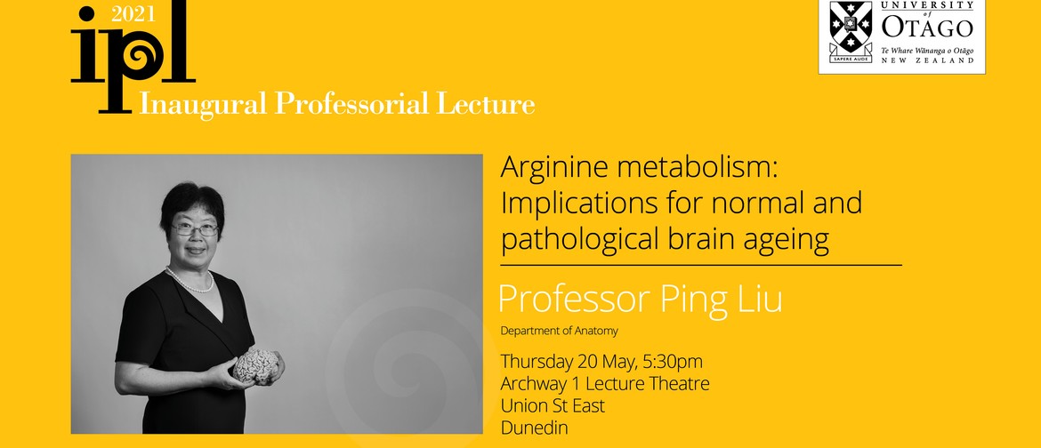 Inaugural Professorial Lecture - Professor Ping Liu