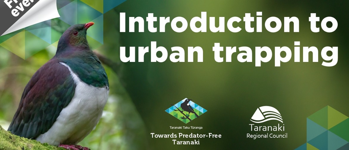 Introduction to urban trapping