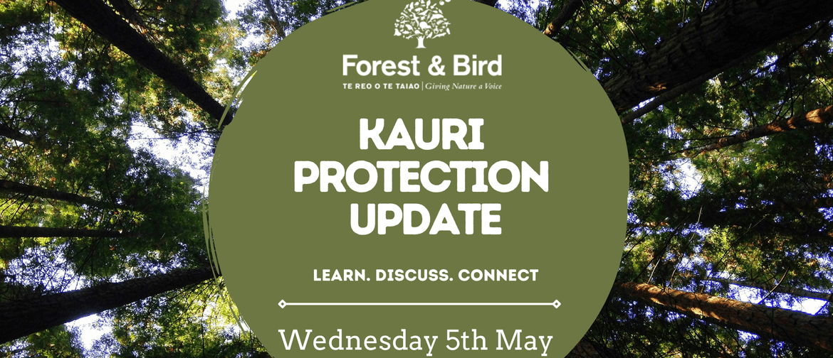 Kauri Protection Update