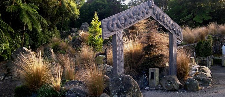 Wellington's Ferns: CANCELLED