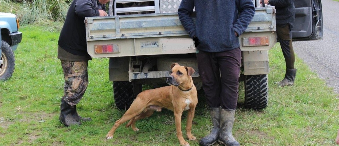 Kiwi Avoidance Training for Dogs