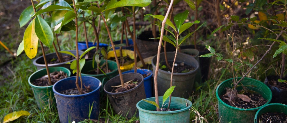 Mahi on the Maunga - Planting Day