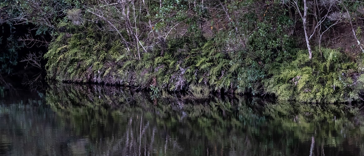 Conservation Kōrero: Lakes in Aotearoa: CANCELLED