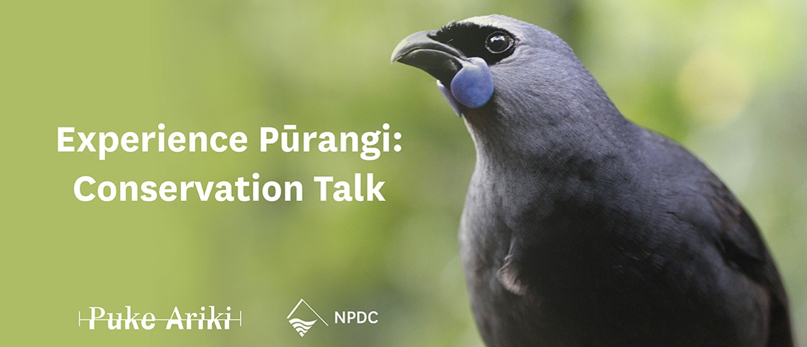 Experience Pūrangi: Conservation Talk