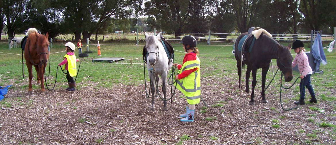 Wellness in Winter with The Horse - School Holiday Programme