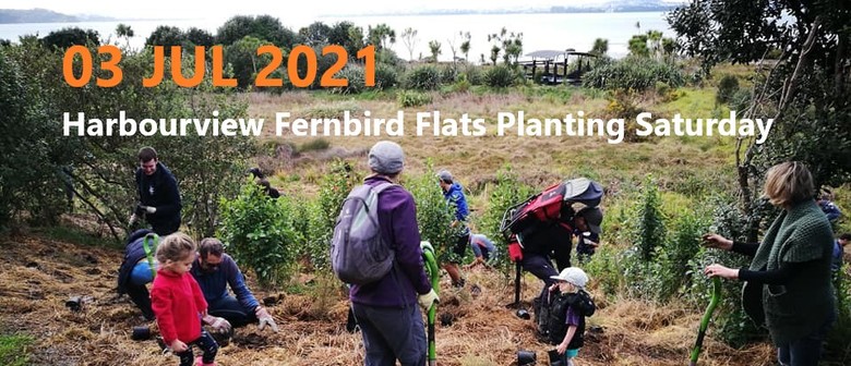Te Atatu Harbourview Fernbird Flats Planting
