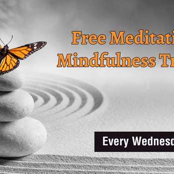 Meditation & Mindfulness Training