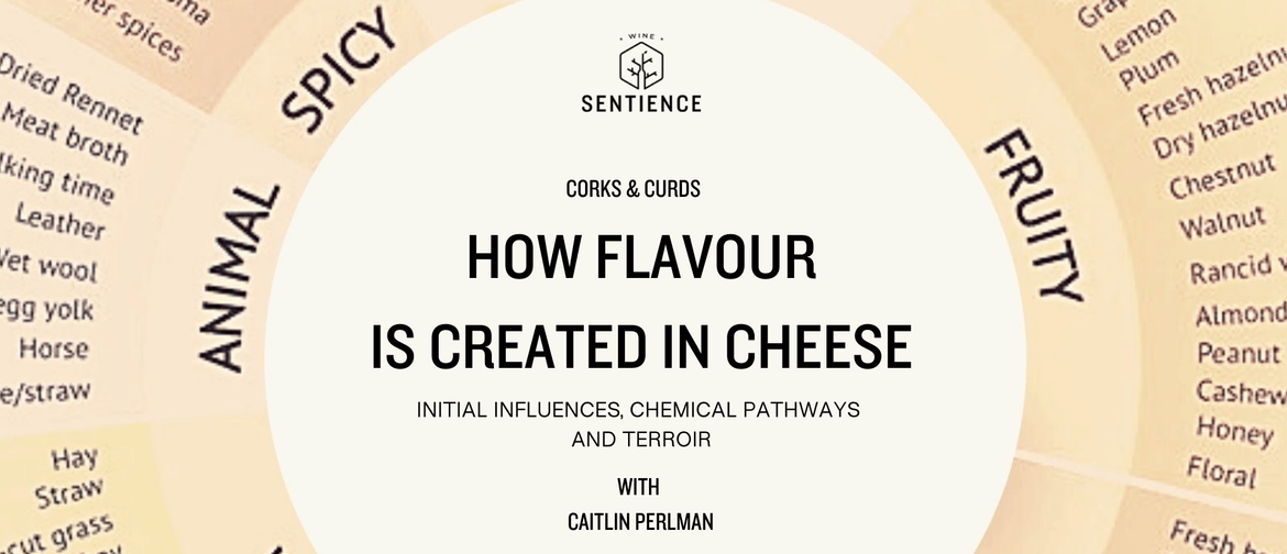 Corks & Curds: How Flavour is Created in Cheese