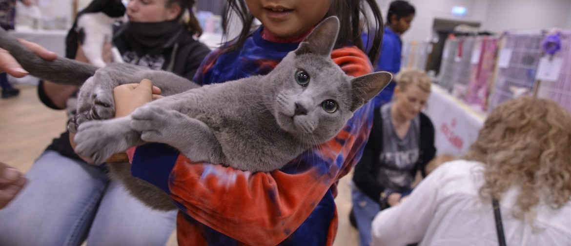 South Island National Cat Show hosted by CABCC