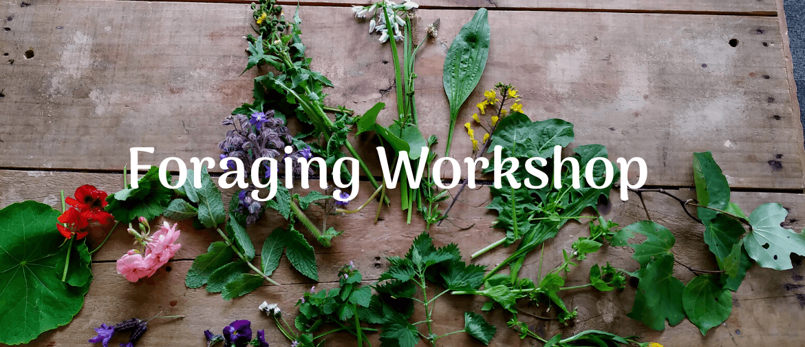 Foraging for Edible Weeds Workshop