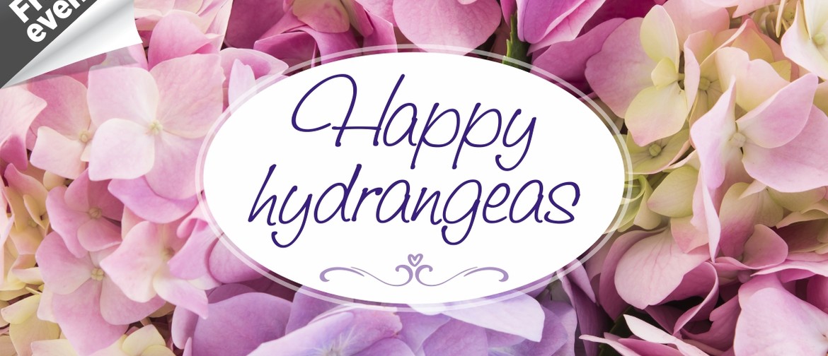 Happy Hydrangeas