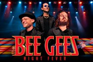 The Bee Gees Night Fever: CANCELLED
