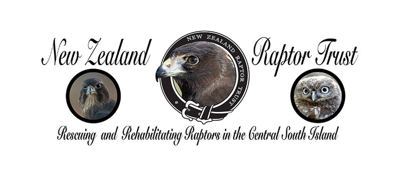 New Zealand Raptor Trust Demonstration