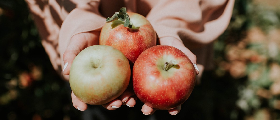 Fruit Tree Establishment and Fruit Tree Pruning