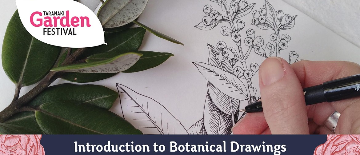 Introduction to Botanical Drawing: SOLD OUT