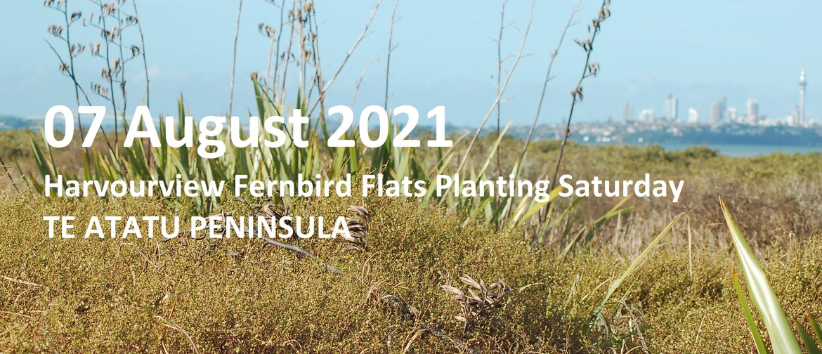 Harbourview Community Native Planting for Fernbird Flats