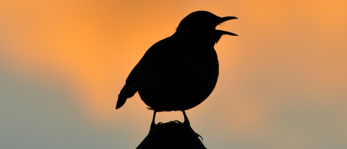 Nature Photography Workshop: CANCELLED Nature Photography Workshop: CANCELLED
