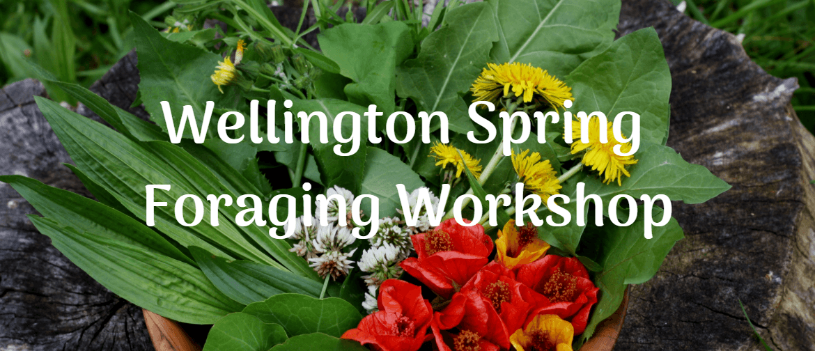 WOW Spring Foraging Workshop - Learn To Forage: POSTPONED