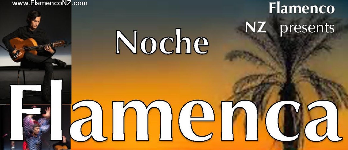 Noche Flamenca - Music And Dance From Spain